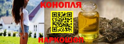 прущие крисы Будённовск