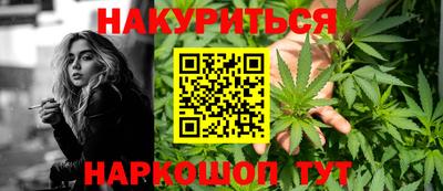 прущие крисы Будённовск