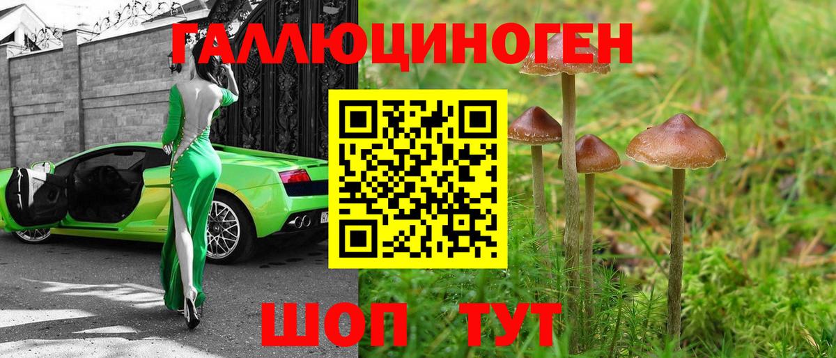 Псилоцибиновые грибы GOLDEN TEACHER  Галлюциногенные грибы MAGIC MUSHROOMS  Старая Русса  Вход с VPN 