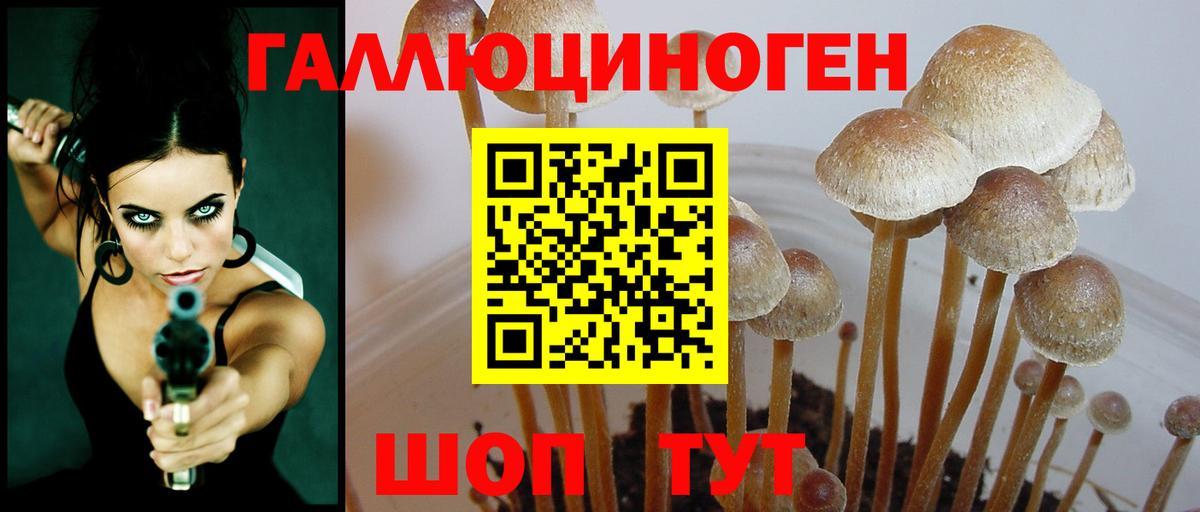 Галлюциногенные грибы GOLDEN TEACHER Старая Русса