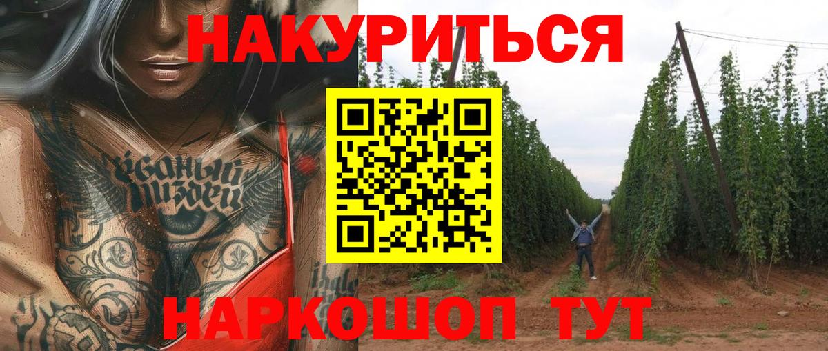 Старая Русса  Канабис OG Kush  Марихуана OG Kush  Вход с VPN 